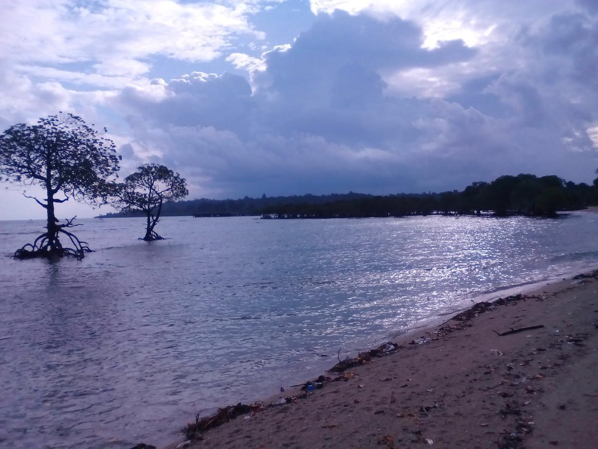 Coconhuts Beach Resort Lakshmanpur Экстерьер фото